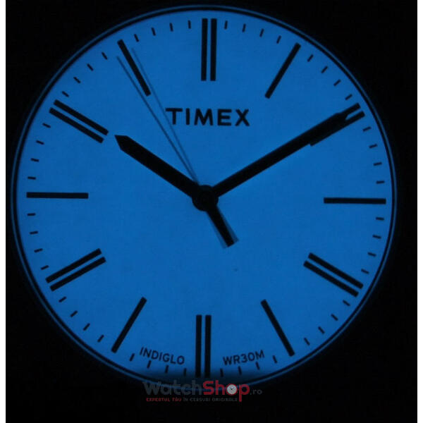 Ceas Timex ORIGINALS TW2P63800