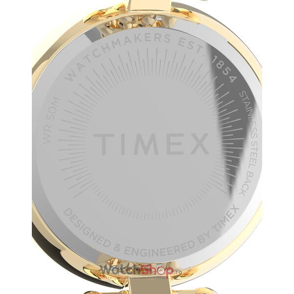 Ceas Timex Asheville TW2V02500