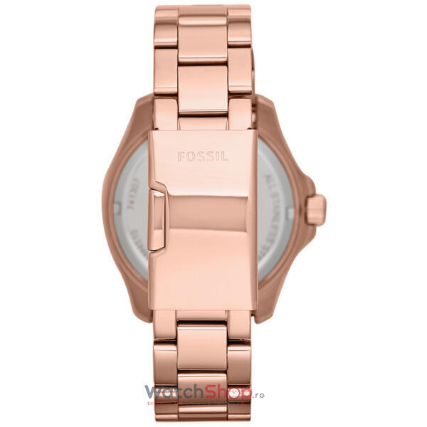 Ceas Fossil CECILE AM4511