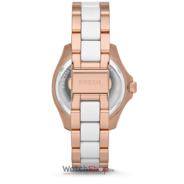 Ceas Fossil CECILE AM4546